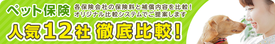 ペット保険・人気14社徹底比較！