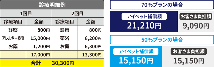 アレルギー性皮膚炎の診療明細例と補償額例