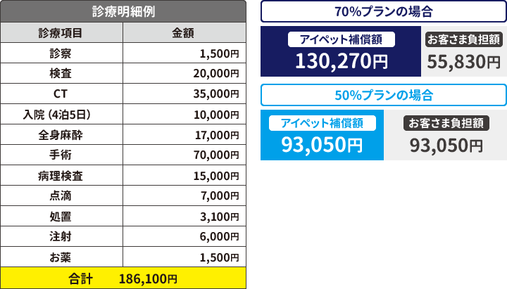 腫瘍の診療明細例と補償額例