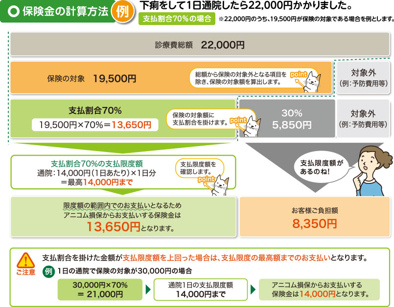 保険金の計算方法