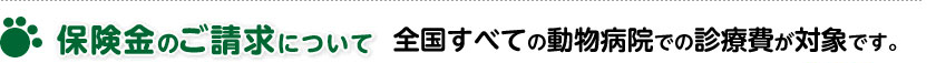 保険金のご請求について