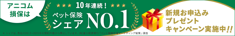 アニコム損保、新規お申込みプレゼントキャンペーン実施中‼