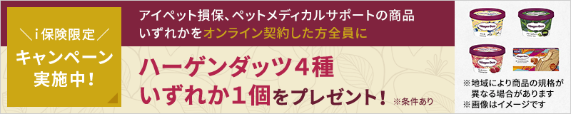 ハーゲンダッツ4種いずれか1個をプレゼント!2026/3/31まで