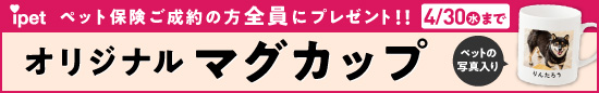 ご成約の方全員にプレゼント！ アイペット