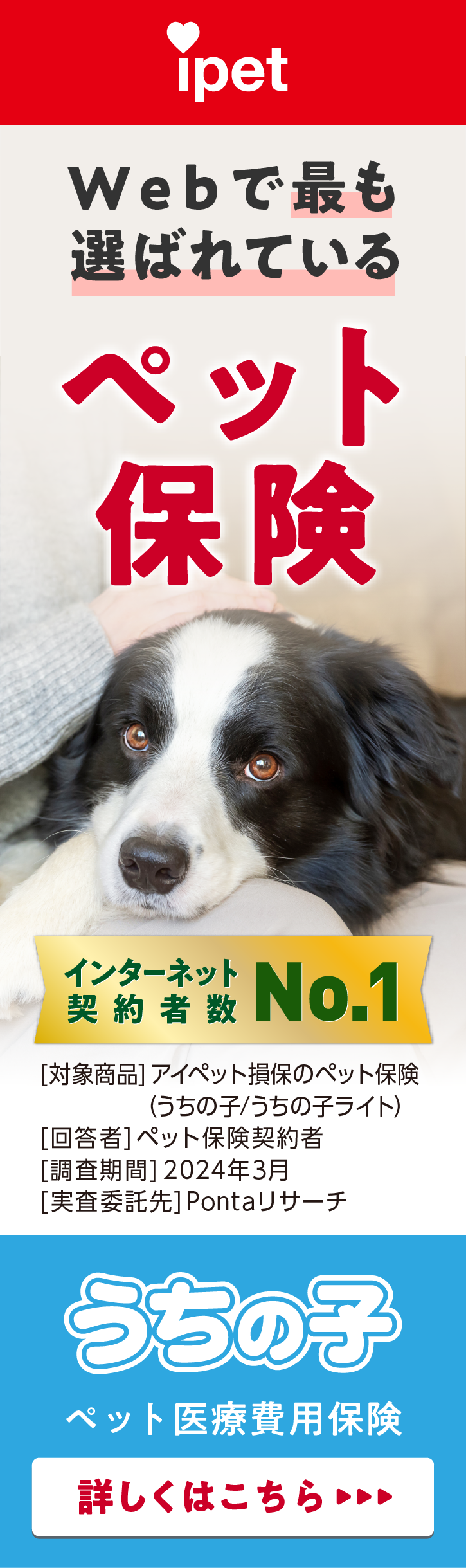 Webで最も選ばれているペット保険 ipet うちの子