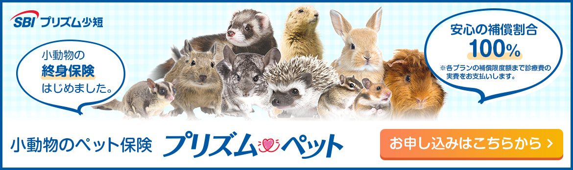 キャンペーン　SBIプリズム少額短期保険