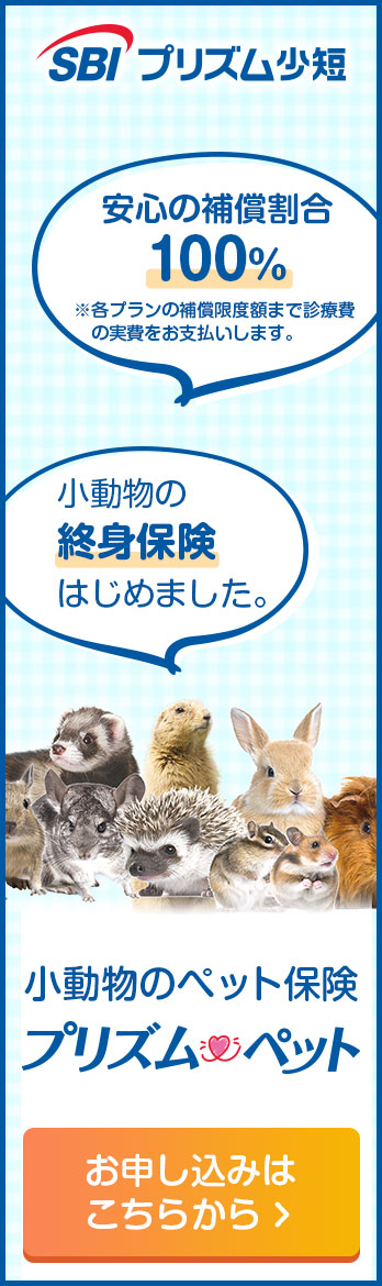キャンペーン　SBIプリズム少額短期保険