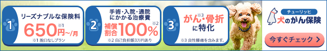 リーズナブルな保険料、手術・入院・通院にかかる治療費、がん・骨折に特化、チューリッヒ犬のがん保険