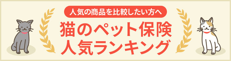 猫のペット保険人気ランキング