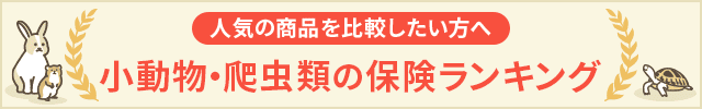 小動物・爬虫類の保険ランキング