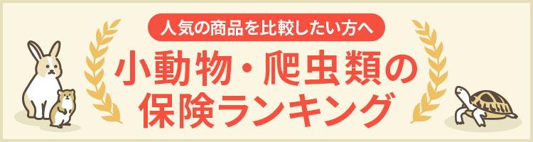 小動物・爬虫類の保険ランキング