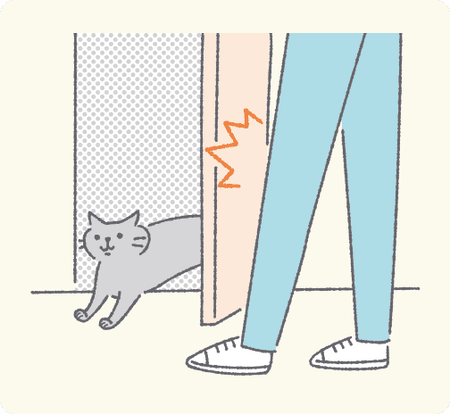 玄関から脱走しそうな猫