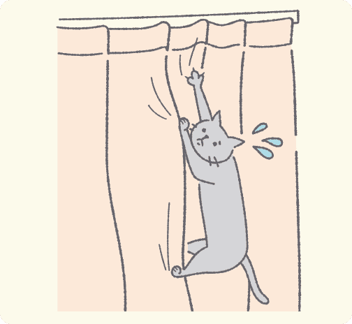 窓から脱走しようとカーテンをのぼる猫