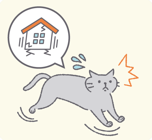 地震でパニックになり脱走する猫