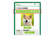 アニコム損保のマイページの例