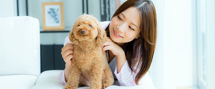 ペット保険の加入年齢について考える飼い主さんとペット
