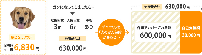 脱臼なしプラン保険料月額6,830円。チューリッヒ「犬のがん保険」があると治療費合計630,000円のうち保険でカバー額される額は600,000円