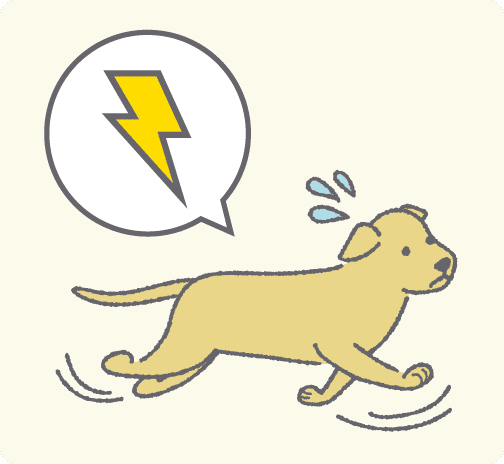 雷の音に驚いて脱走しそうな犬