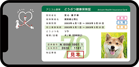 アニコム損保のe-どうぶつ保険証の見本