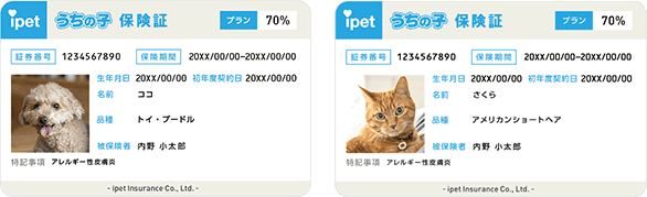 アイペットうちの子保険証の見本
