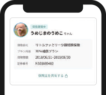 リトルファミリー少額短期保険のデジタル保険証の見本