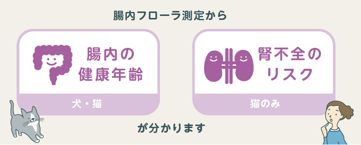 腸内フローラ測定から腸内の健康年齢、腎不全のリスクが分かります