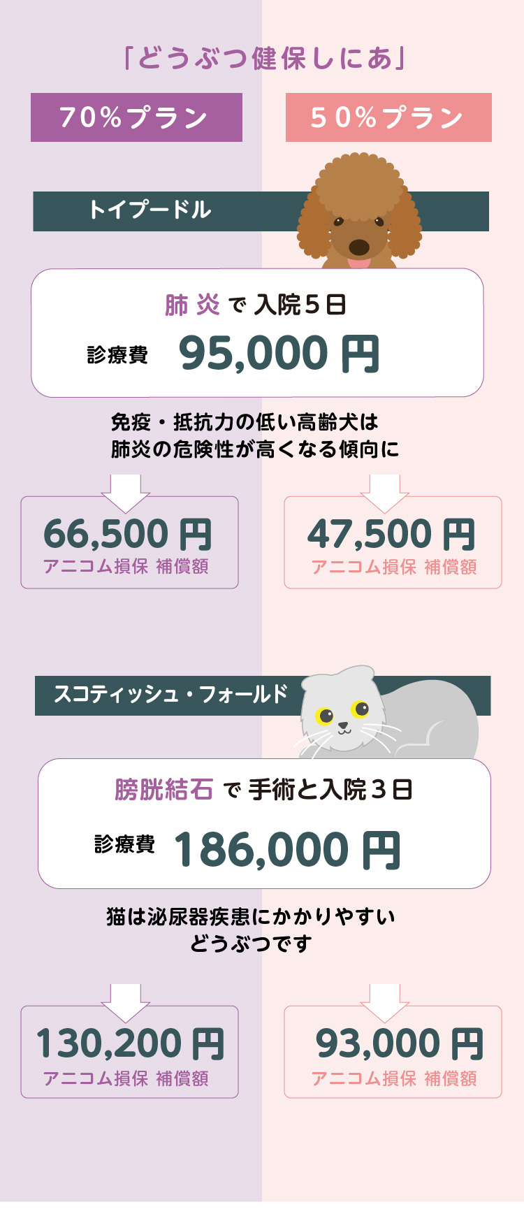 アニコム損保のペット保険「どうぶつ健保しにあ」のお支払い事例｜ｉ保険