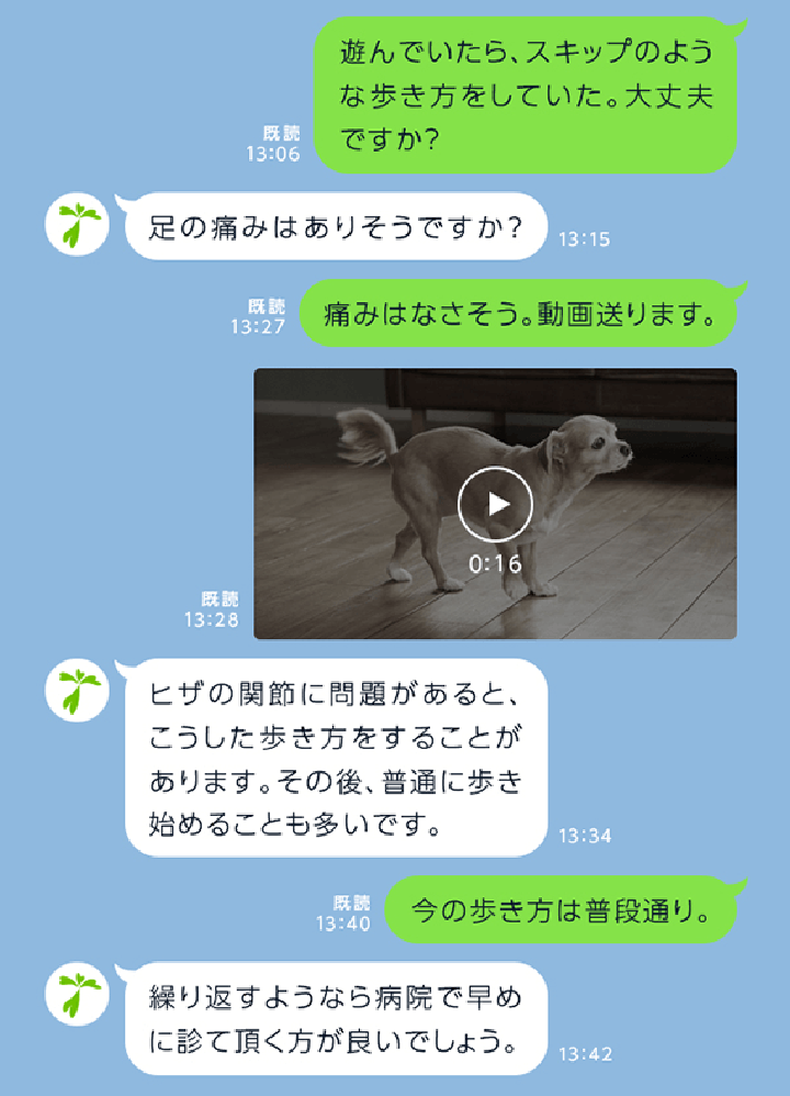 どうぶつホットライン　LINEでの相談画面　写真や動画での相談