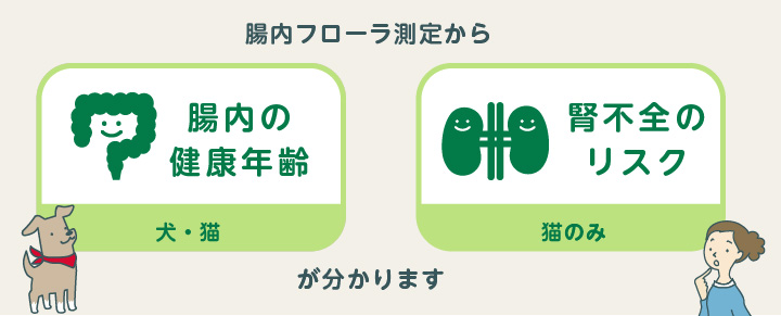 腸内フローラ測定から腸内の健康年齢、腎不全のリスクが分かります