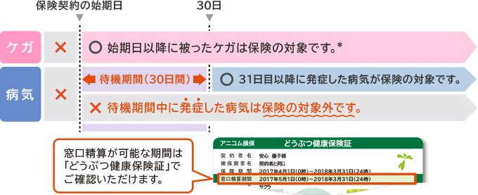 保険契約の始期日からの待機期間