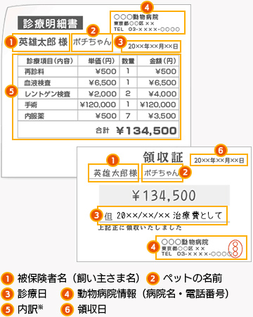 動物病院の診療明細書・領収証