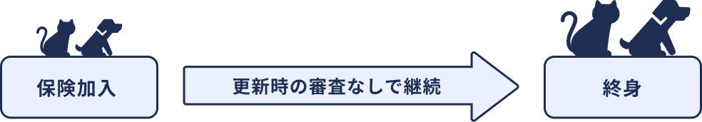 更新時の審査なし！前年の病気による免責事項の追加や継続不可、保険料の割増しなし！
