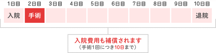 入院費用も補償されます（手術1回につき10日間まで）