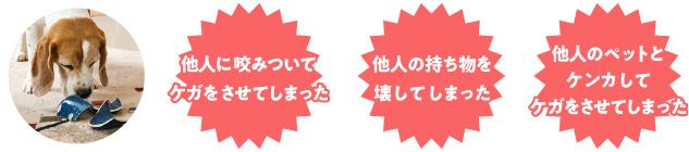 他人に咬みついてしまった、他人の飲み物を壊してしまった、他人のペットとケンカしてケガをさせてしまった