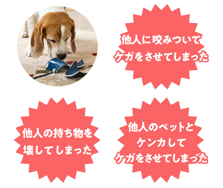 アイル様　ご相談ページ リフォーム・リノベーション アイル オンライン相談 | 東京都