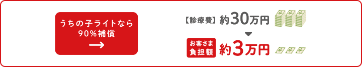 うちの子ライトなら骨折にかかる診療費を90%補償