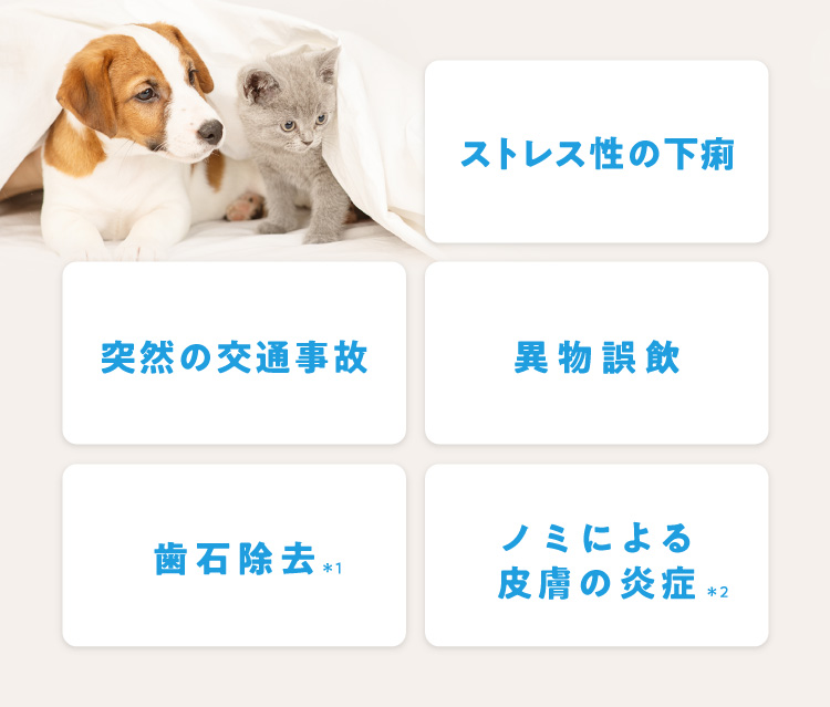 アイペット損保のペット保険 うちの子 の特長 ｉ保険