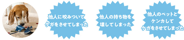 他人に咬みついてしまった、他人の飲み物を壊してしまった、他人のペットとケンカしてケガをさせてしまった