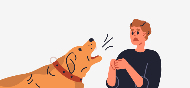 うちの子が他人に怪我をさせてしまった