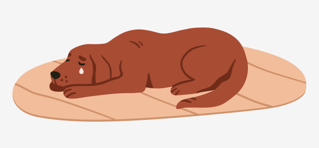 うちの子が他人に怪我をさせてしまった