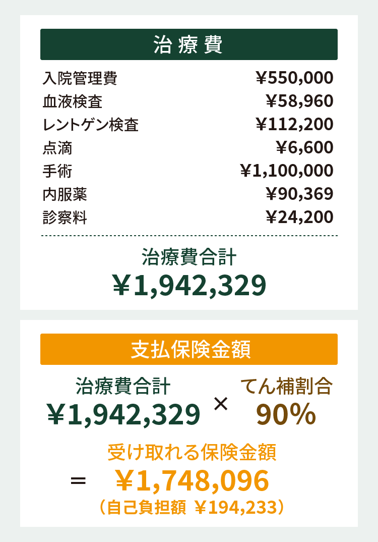 日本ペットのペット保険「いぬとねこの保険VIP」のお支払い事例｜ｉ保険